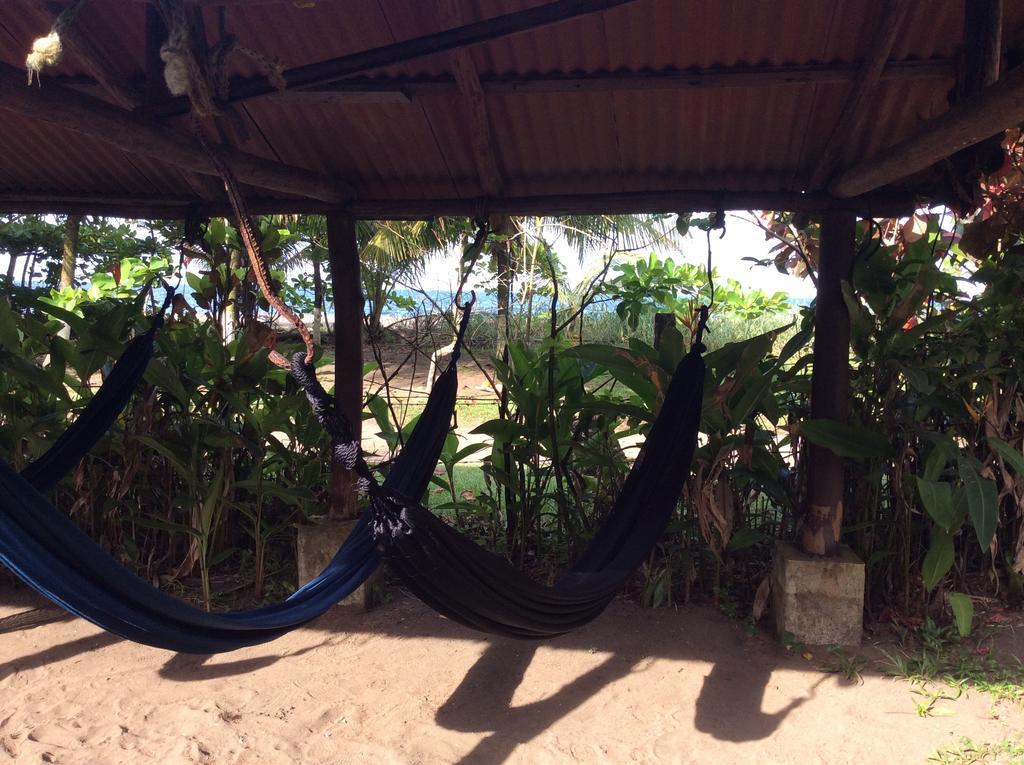 Cabinas Balcon Del Mar Tortuguero Eksteriør bilde